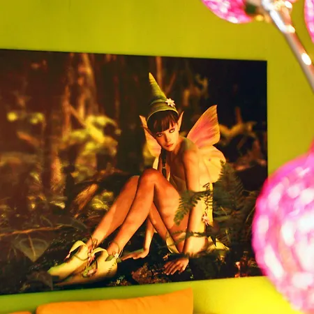 伍尔夫酒店 酒店 3*