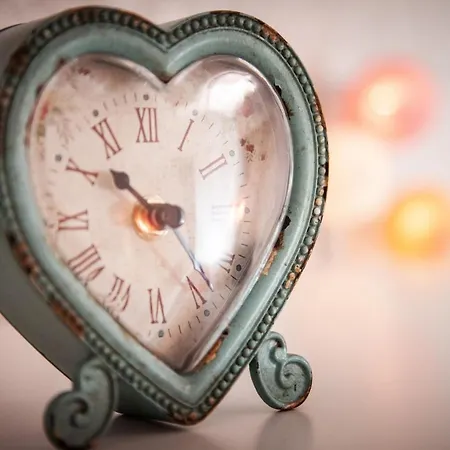 伍尔夫酒店 酒店 巴特塞森多夫